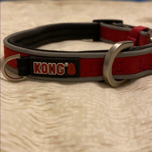 kong collars and leashes